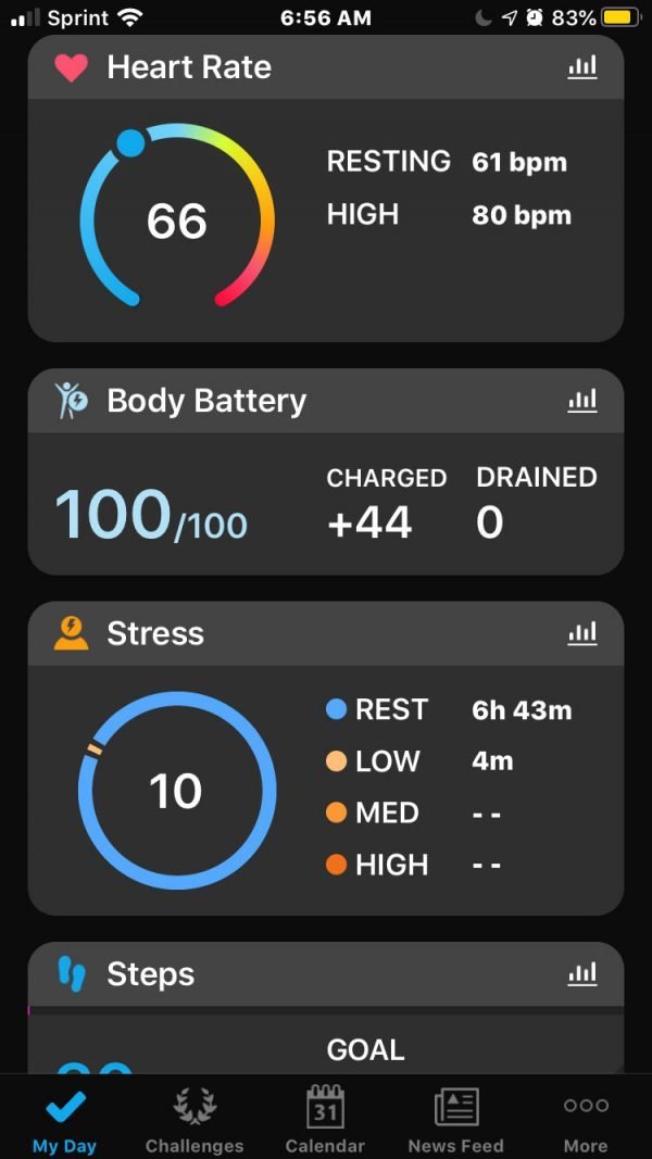 GarminBodyBattery 7651