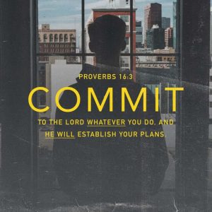 Pro 16.3 commit 1